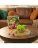 SPINMASTER GAMES spēle Snack O Saurus Rex, 6070778 