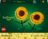 40524 LEGO® Iconic Saulespuķes 