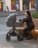 CARRELLO universāls ratiņi OMEGA 2IN1, Cliff grey, CRL-6531 