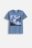 COCCODRILLO krekls ar īsām piedurknēm EVERYDAY BOY C, zils, WC5143202VBC-014-164, 164 cm 