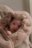 LODGER kāju sildītājs  TEDDY, 0-9 m., Beige, WPT 630 
