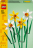 40747 LEGO® Iconic Narcises 