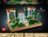10359 LEGO® Icons Strūklaku dārzs 
