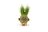 HAPE grasshead Monster Plant Pals, 847769 