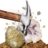 NATIONAL GEOGRAPHIC komplekts Break Your Own Geode, RTNGGEO5 