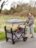 BABYTROLD ratiņi FUN, Grey, 13-04G 