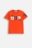 COCCODRILLO t-krekls SPORTS BOY JUNIOR, sarkans, cm 