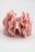 COCCODRILLO matu griezums PETIT BIJOU, rozā, WC5311705PBJ-007-000, one size cm 