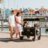 WONDERFOLD sporta rati četriem W4 ELITE , volcano black, W4ELT-BLK 