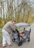 BABYTROLD ratiņi FUN, Grey, 13-04G 