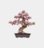 ROLIFE Koka konstruktors Sakura Bonsai, TG415 