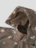 NAME IT kombinezons ALFA, Softshell, 13237076-776A5F, izmērs 