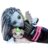 MONSTER HIGH lelle Frankie, JHK31 