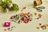PLUS PLUS Konstruktors Botanica Mix, 4329 